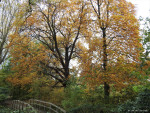 Arboretum Poortbulten